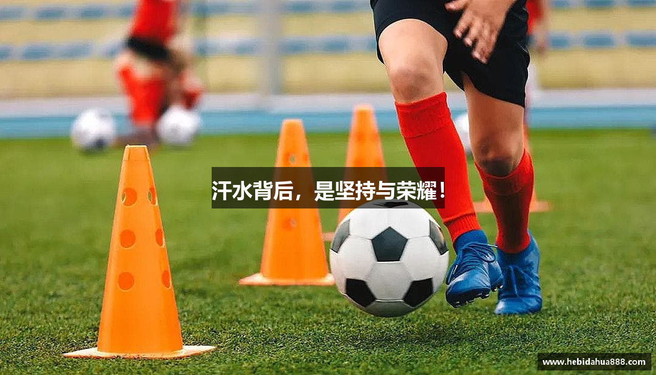 利博官网APP